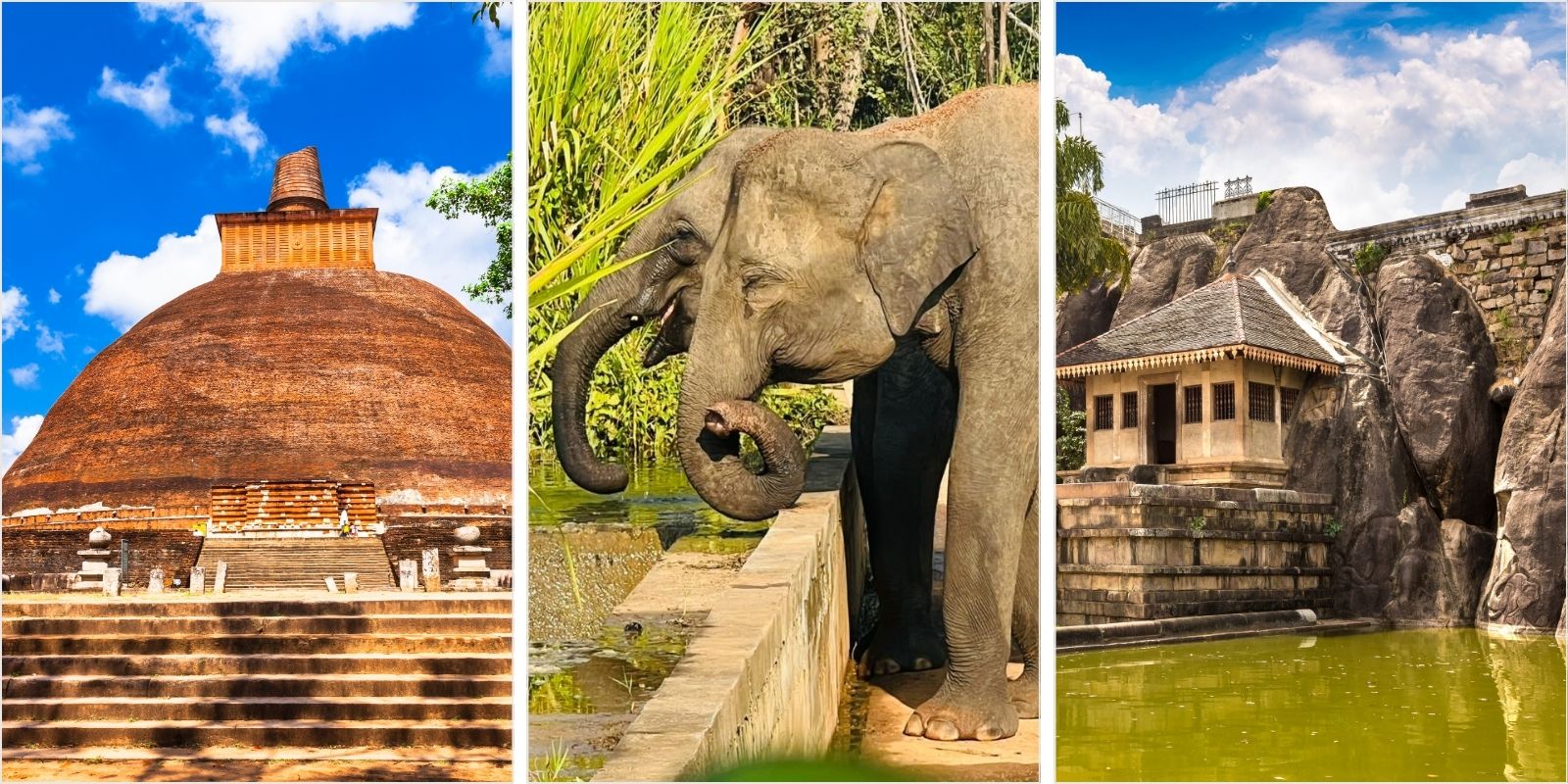 Anuradhapura Ancient City & Safari