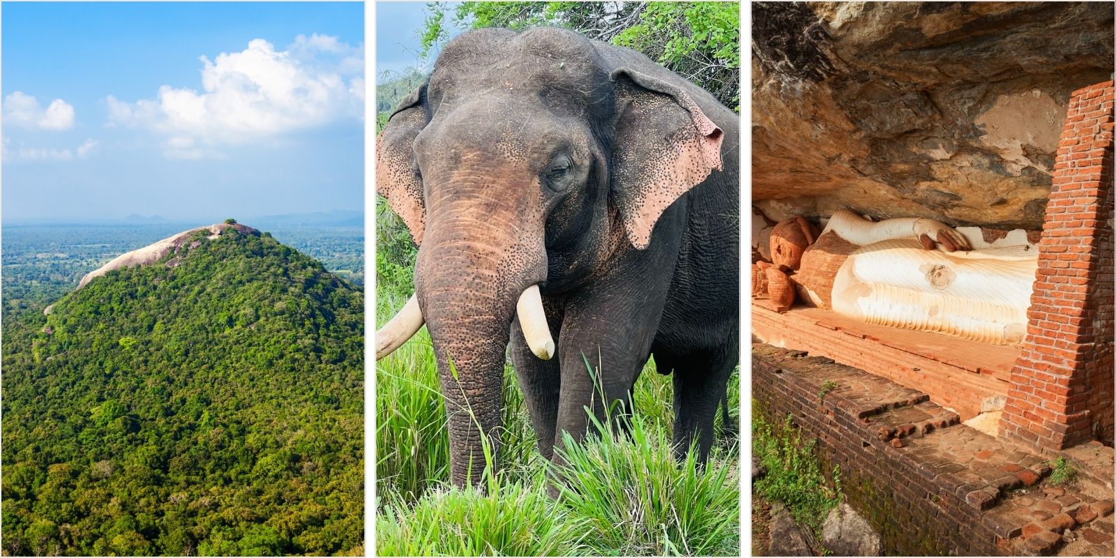 Pidurangala & Safari