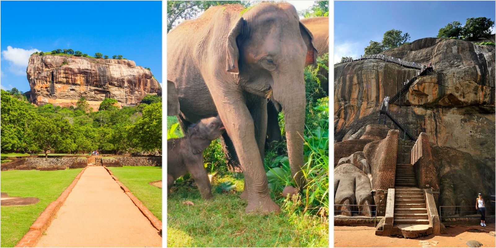 Sigiriya & Dambulla & Safari