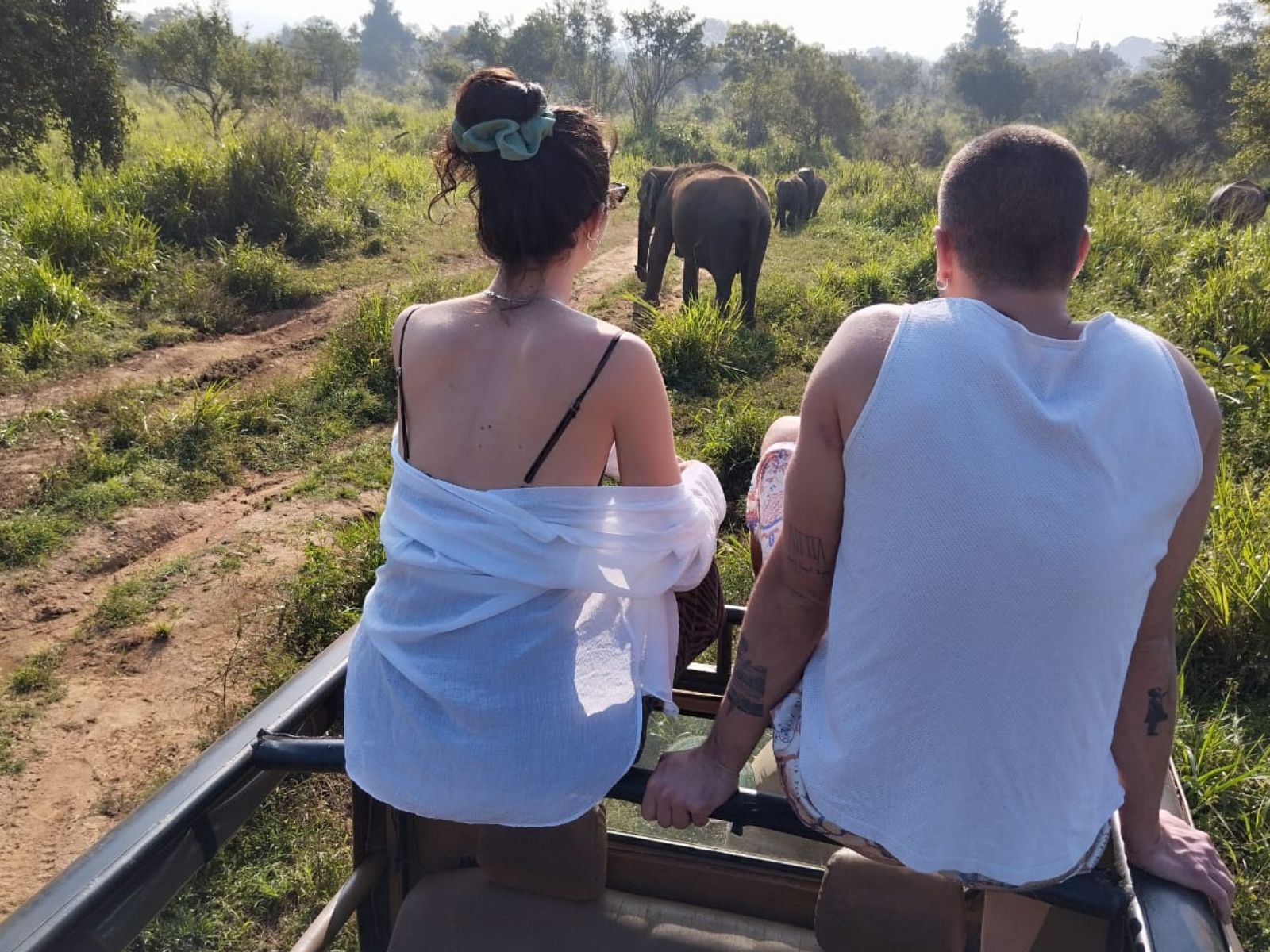 Elephant Herd