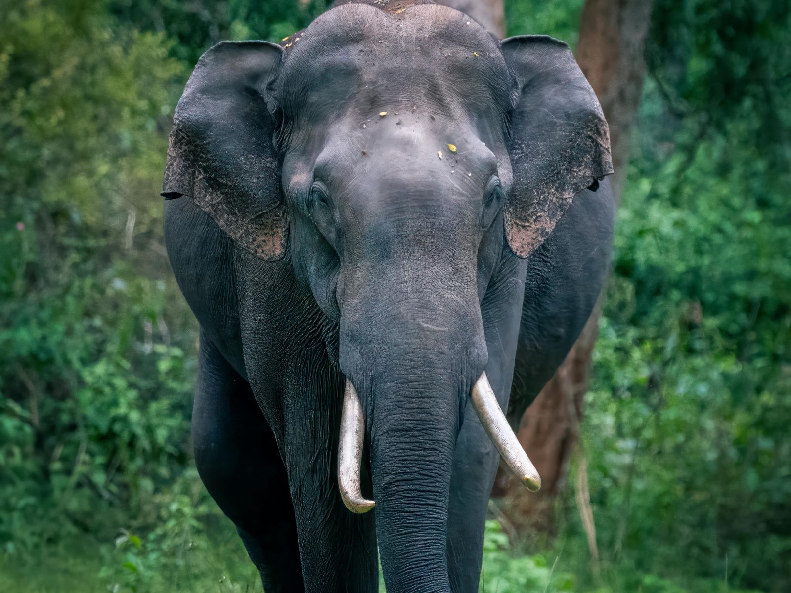 Photography Tours