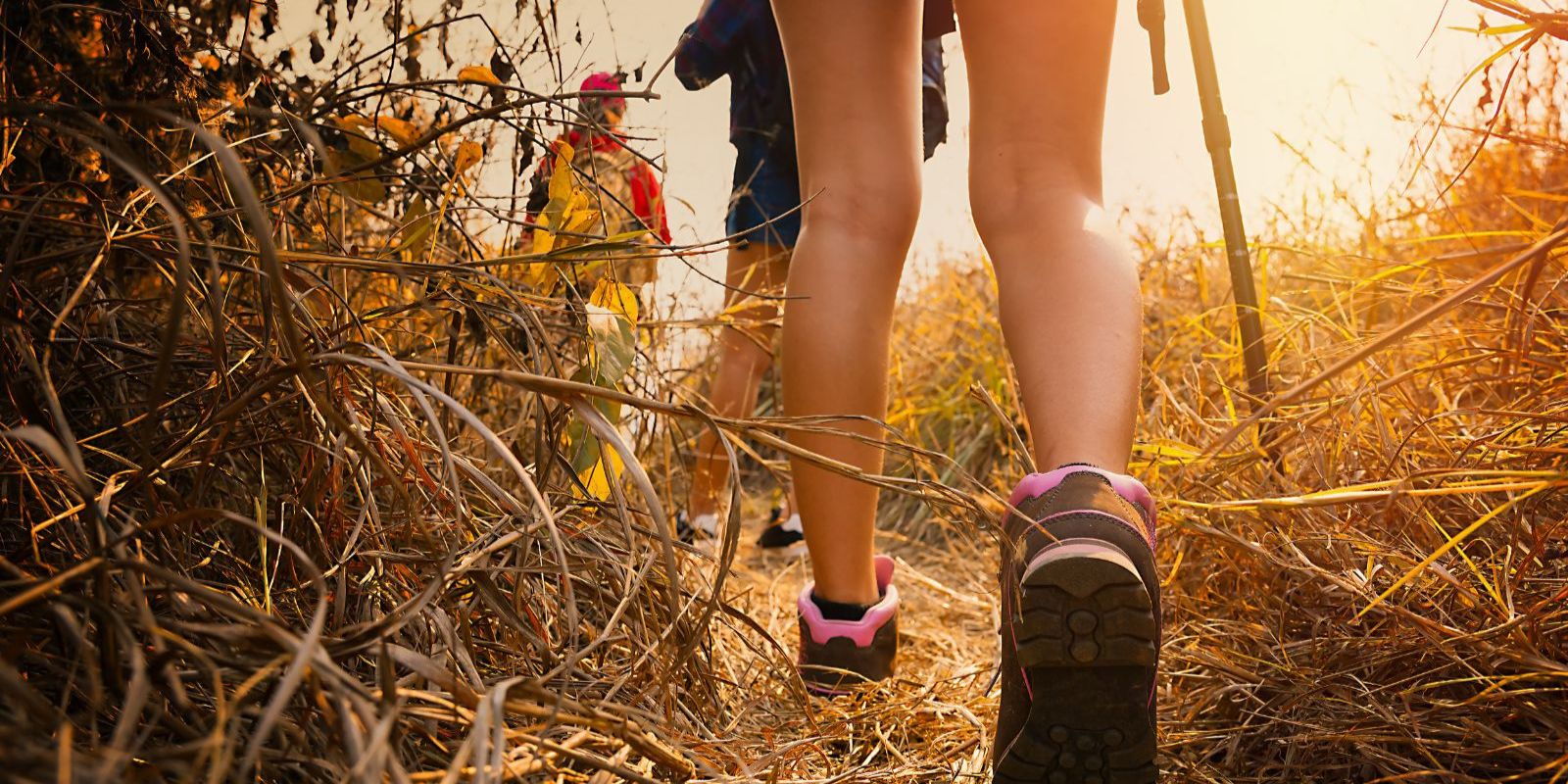 Nature Walks