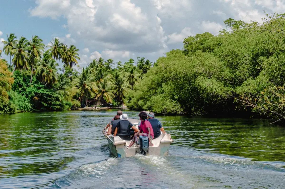 Madu River Boat Safari