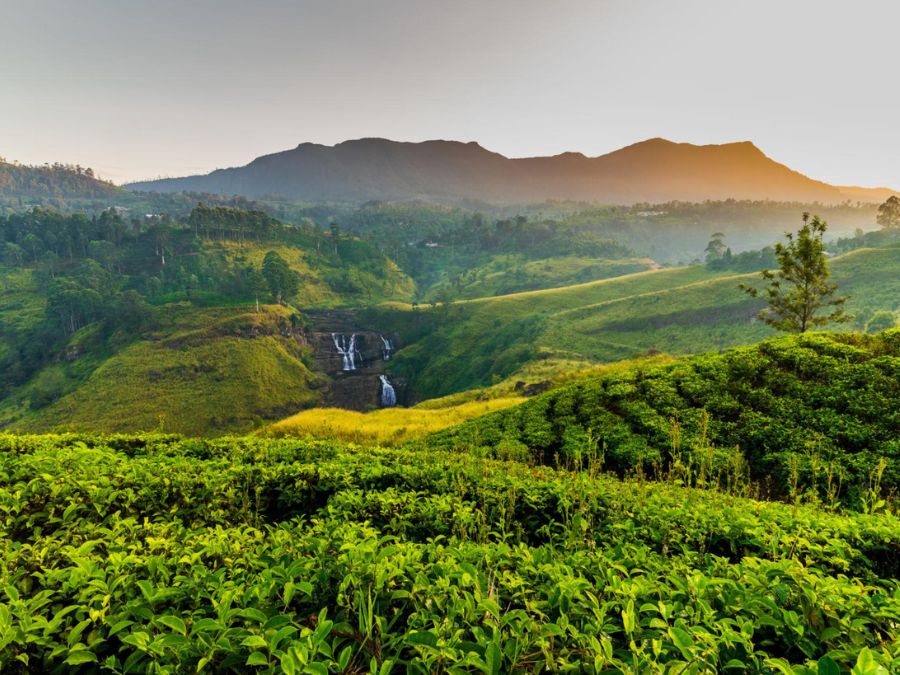 Nuwara Eliya